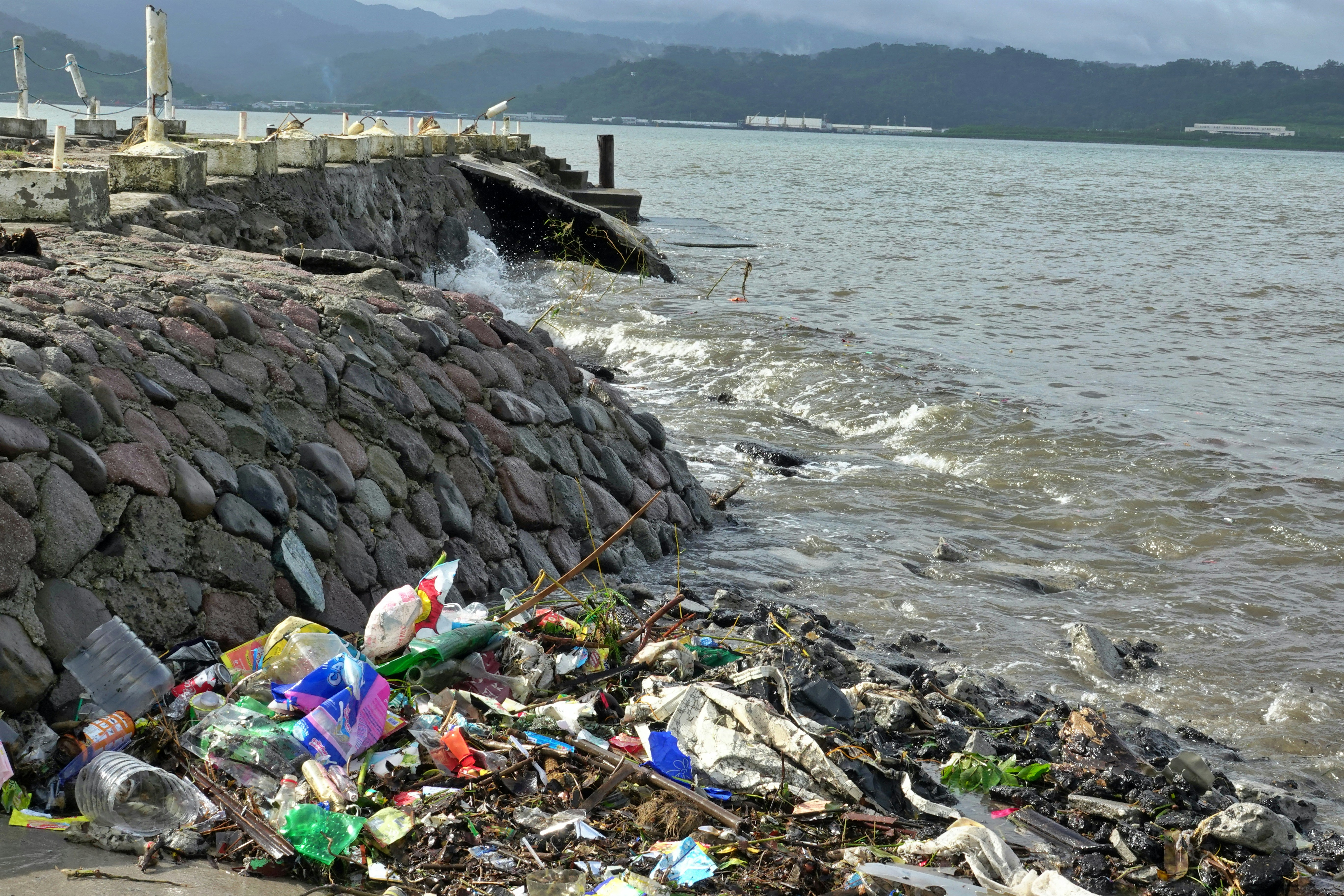 Plastic pollution example